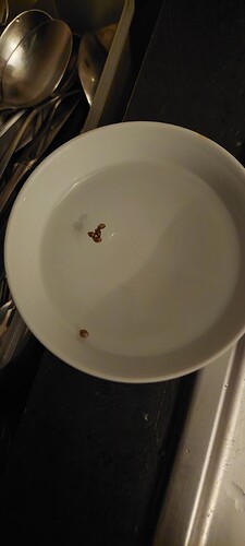 Growreport Bild 6