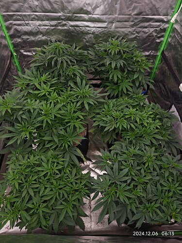 Growreport Bild 7