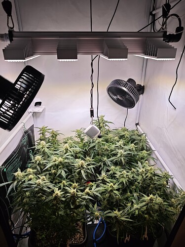 MVIMG_20251105_164434