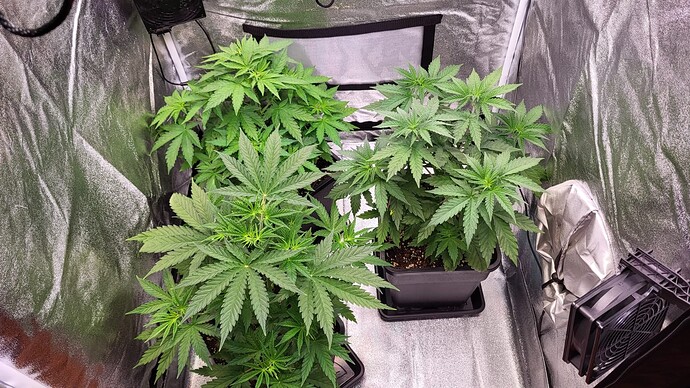 Growreport Bild 16