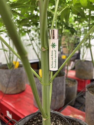 Growreport Bild 40