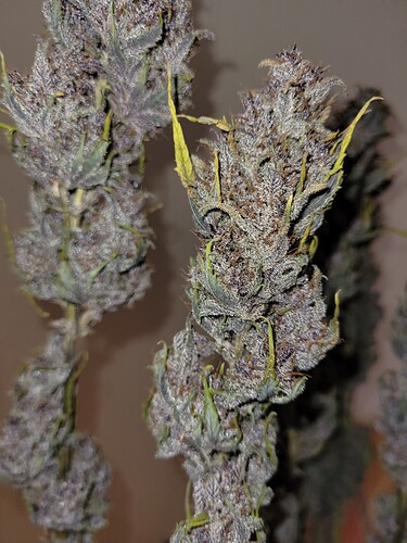 Growreport Bild 17