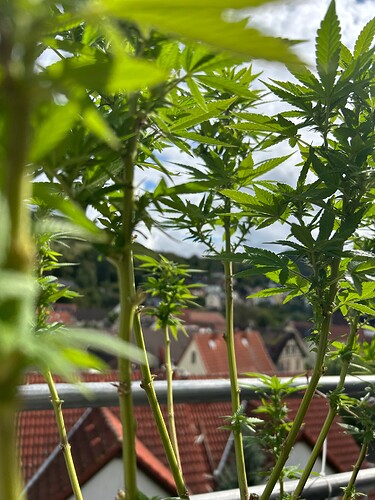 Growreport Bild 18