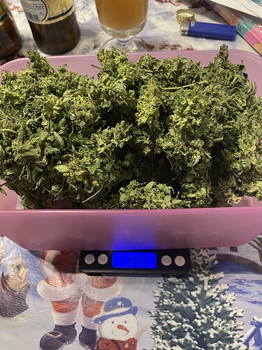 Growreport Bild 22