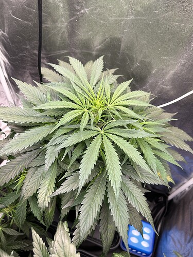 Growreport Bild 3