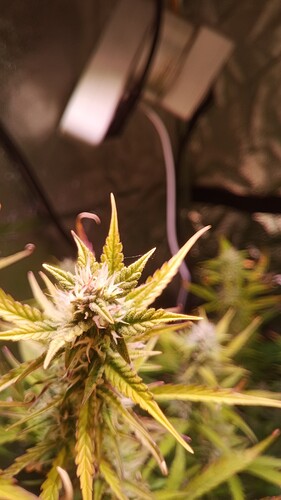 IMG_20240513_092900_051