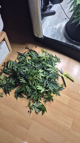 Growreport Bild 2