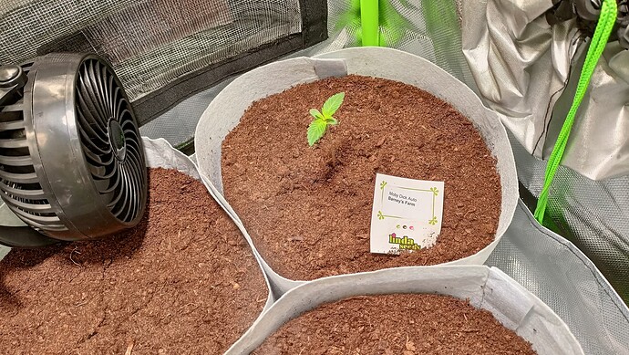 Growreport Bild 1