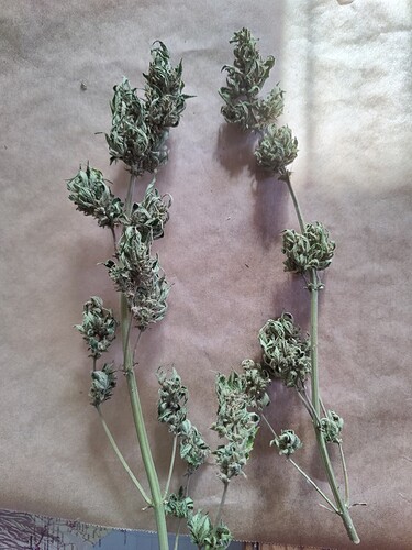 Growreport Bild 20
