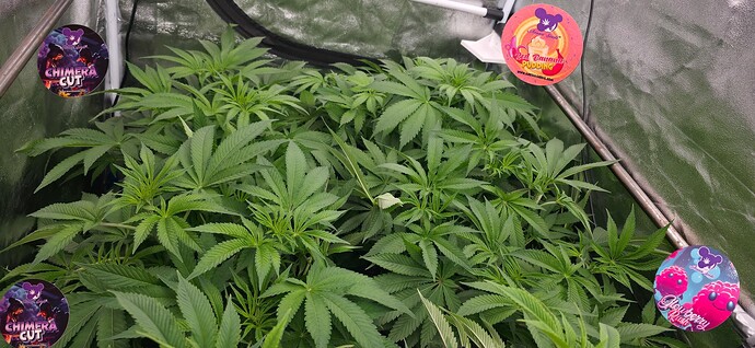 Growreport Bild 13