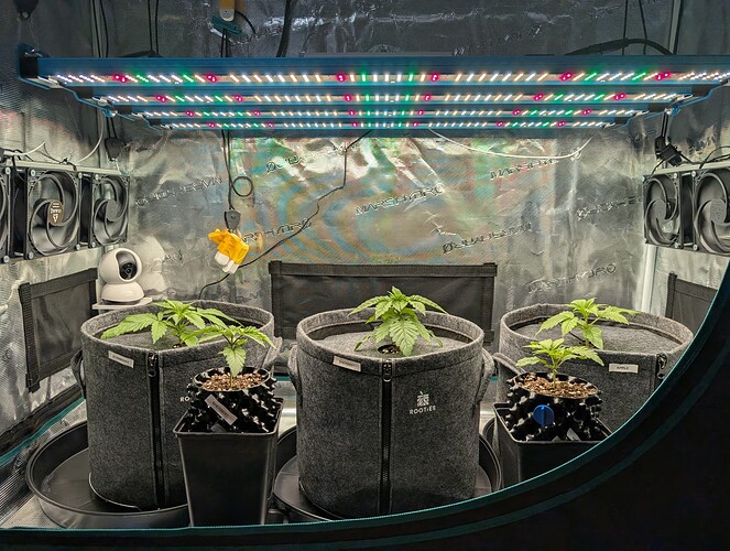 Growreport Bild 10