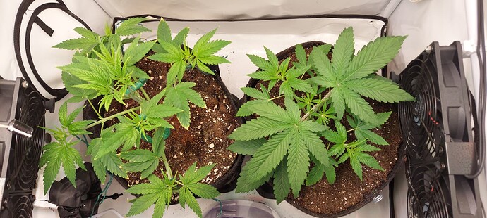 Growreport Bild 8