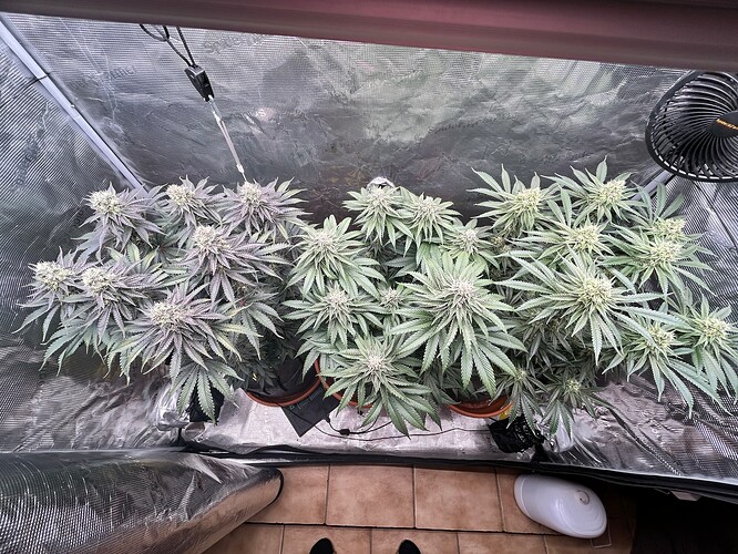 Growreport Bild 1