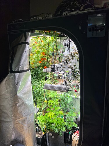 Growreport Bild 6