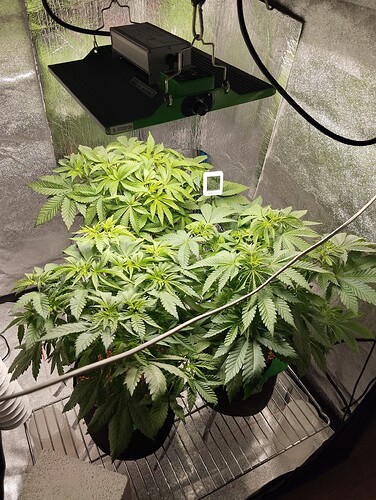 Growreport Bild 10