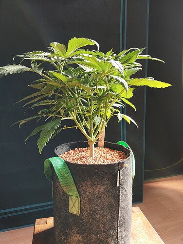 Growreport Bild 16