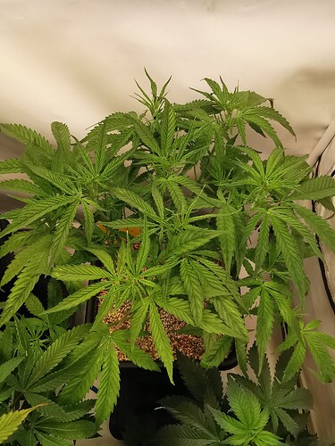 Growreport Bild 4