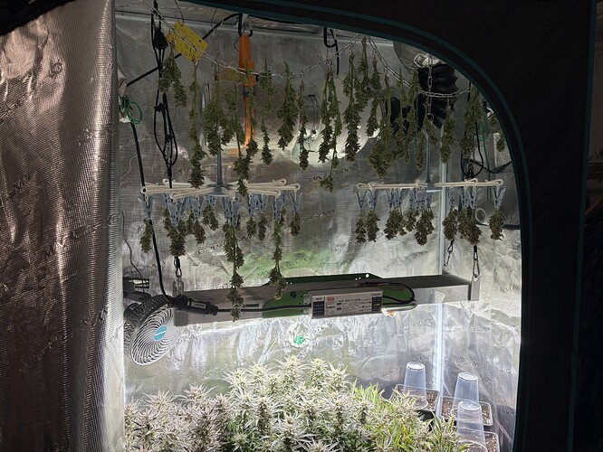Growreport Bild 12