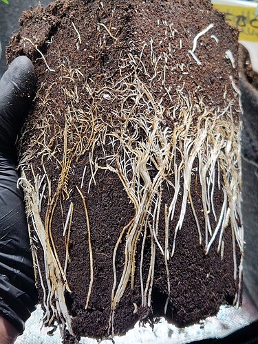 Growreport Bild 12