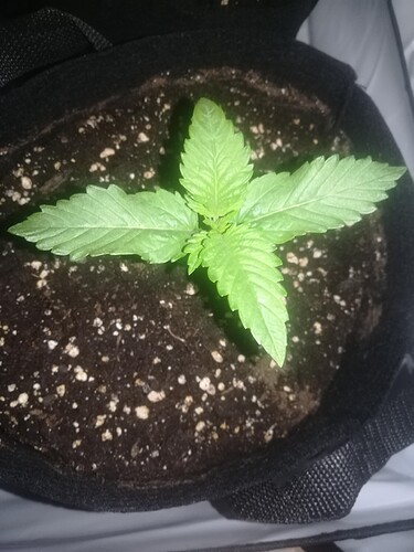 2024-05-05-145920_003