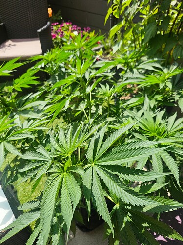Growreport Bild 7