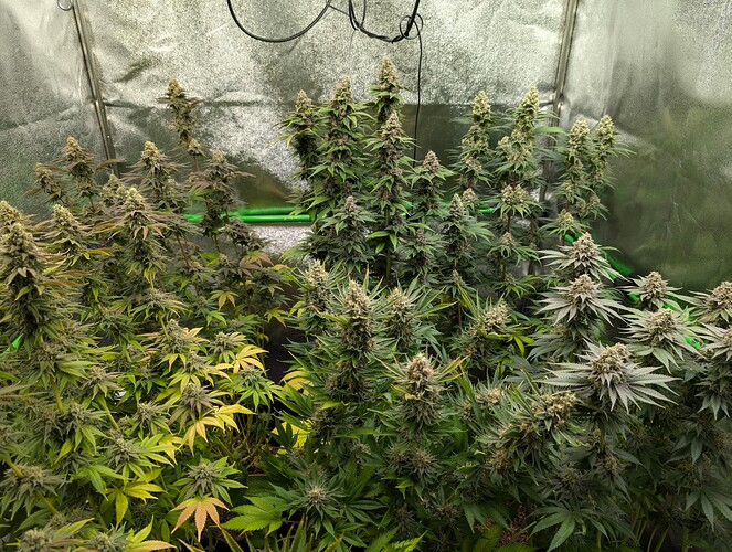 Growreport Bild 18
