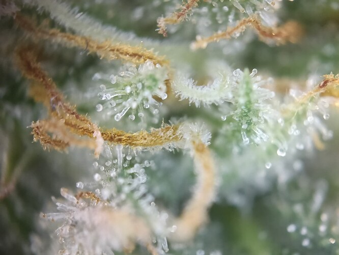 Growreport Bild 23