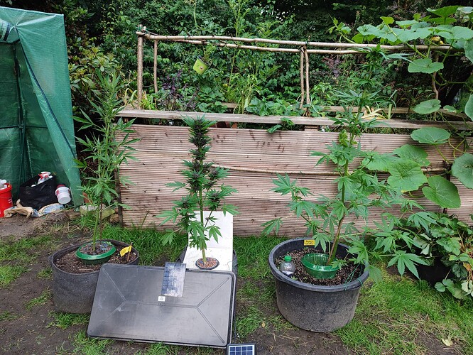Growreport Bild 9