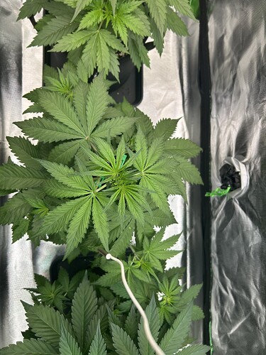 Growreport Bild 7