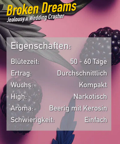 Growreport Bild 4