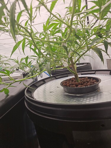 Growreport Bild 9