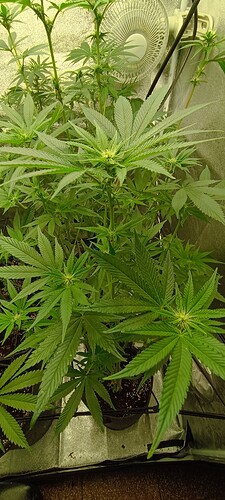 Growreport Bild 8