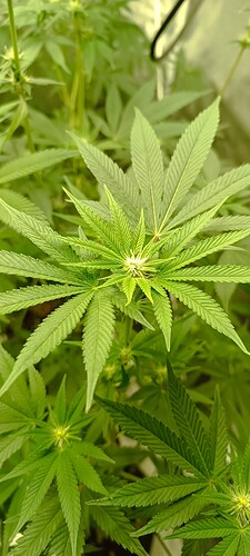 Growreport Bild 7
