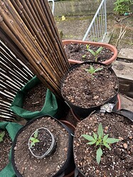 Growreport Bild 13