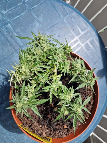 Growreport Bild 10