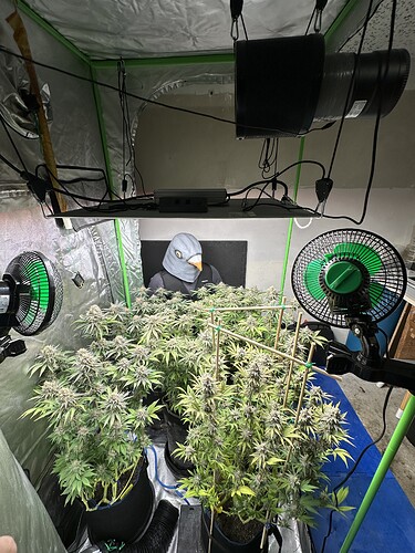 Growreport Bild 1