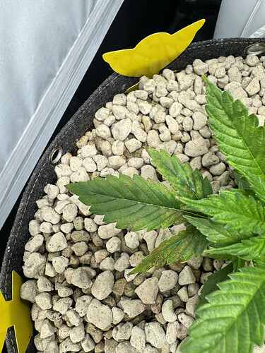 20240424_150104954_iOS