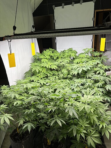 Growreport Bild 30
