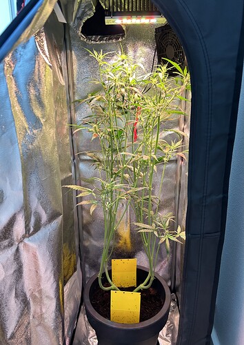 Growreport Bild 3