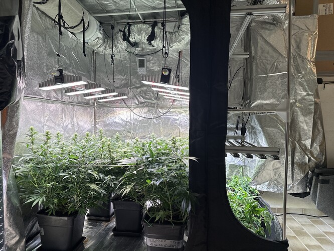 Growreport Bild 26