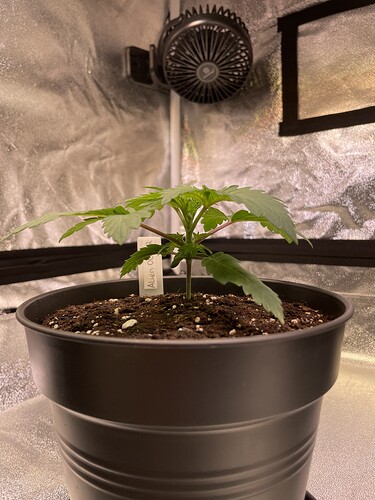 Growreport Bild 19
