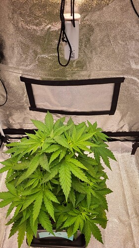 Growreport Bild 11