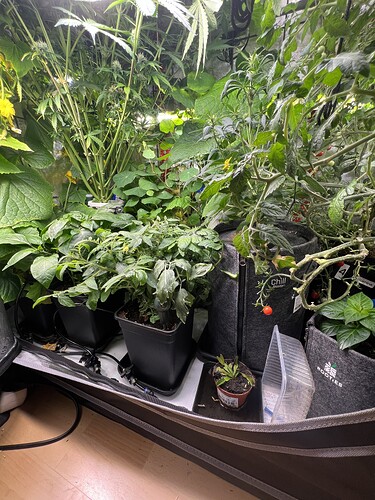 Growreport Bild 9