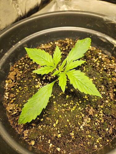 Growreport Bild 15