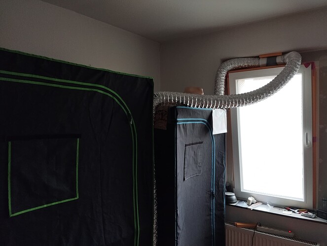 Growreport Bild 10