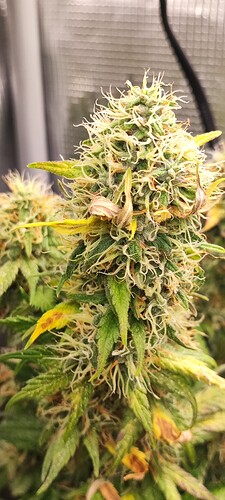 Growreport Bild 11