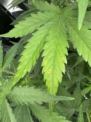 Growreport Bild 15