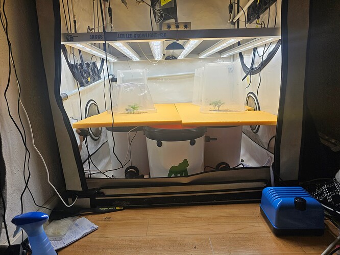 Growreport Bild 33