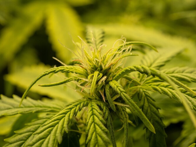 Growreport Bild 16