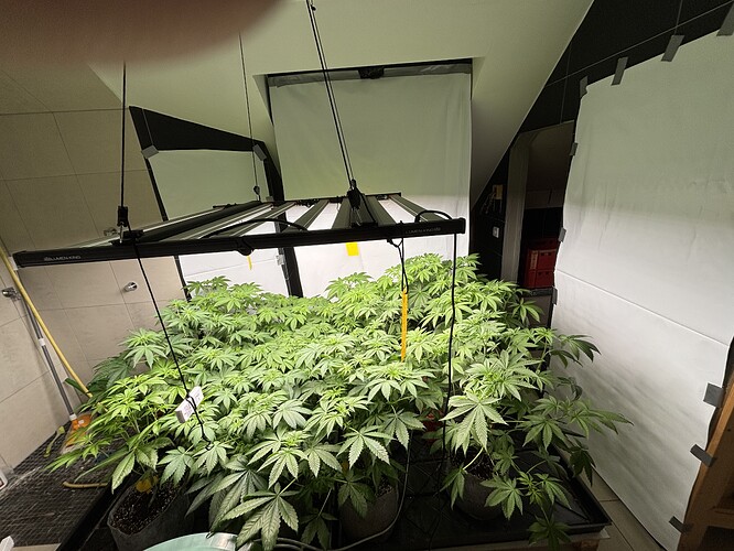 Growreport Bild 31